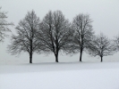 Winterlandschaft